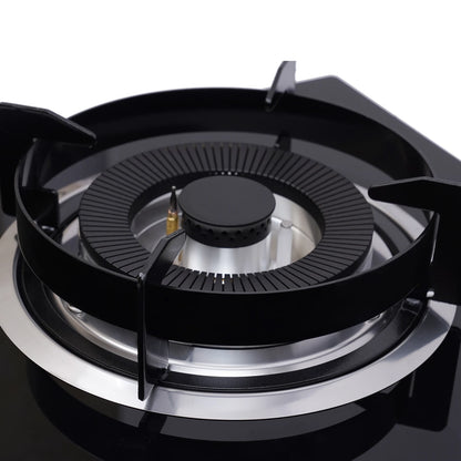 Dual Burner Gas Stove – High Efficiency, Safe Flameout Protection & Versatile Cooking