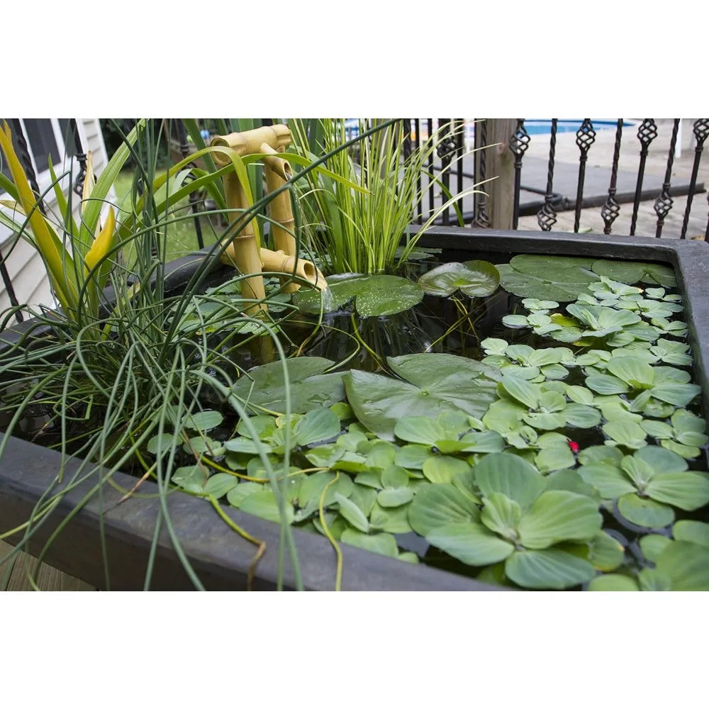 Aquatic Patio Pond, Container Water Garden, 27-Inch Square, Gray Slate